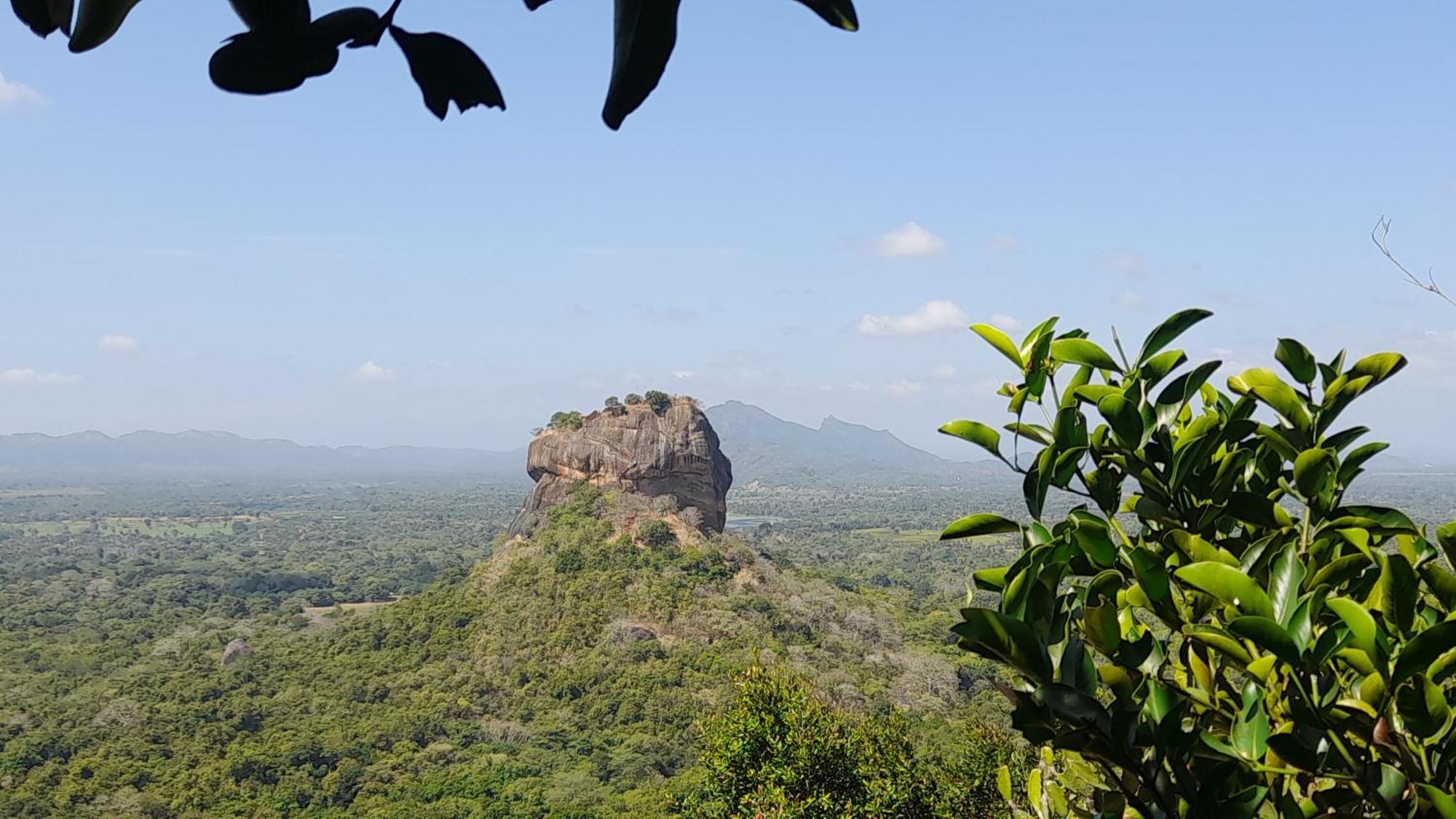 Wild View Stay Habarana Εξωτερικό φωτογραφία