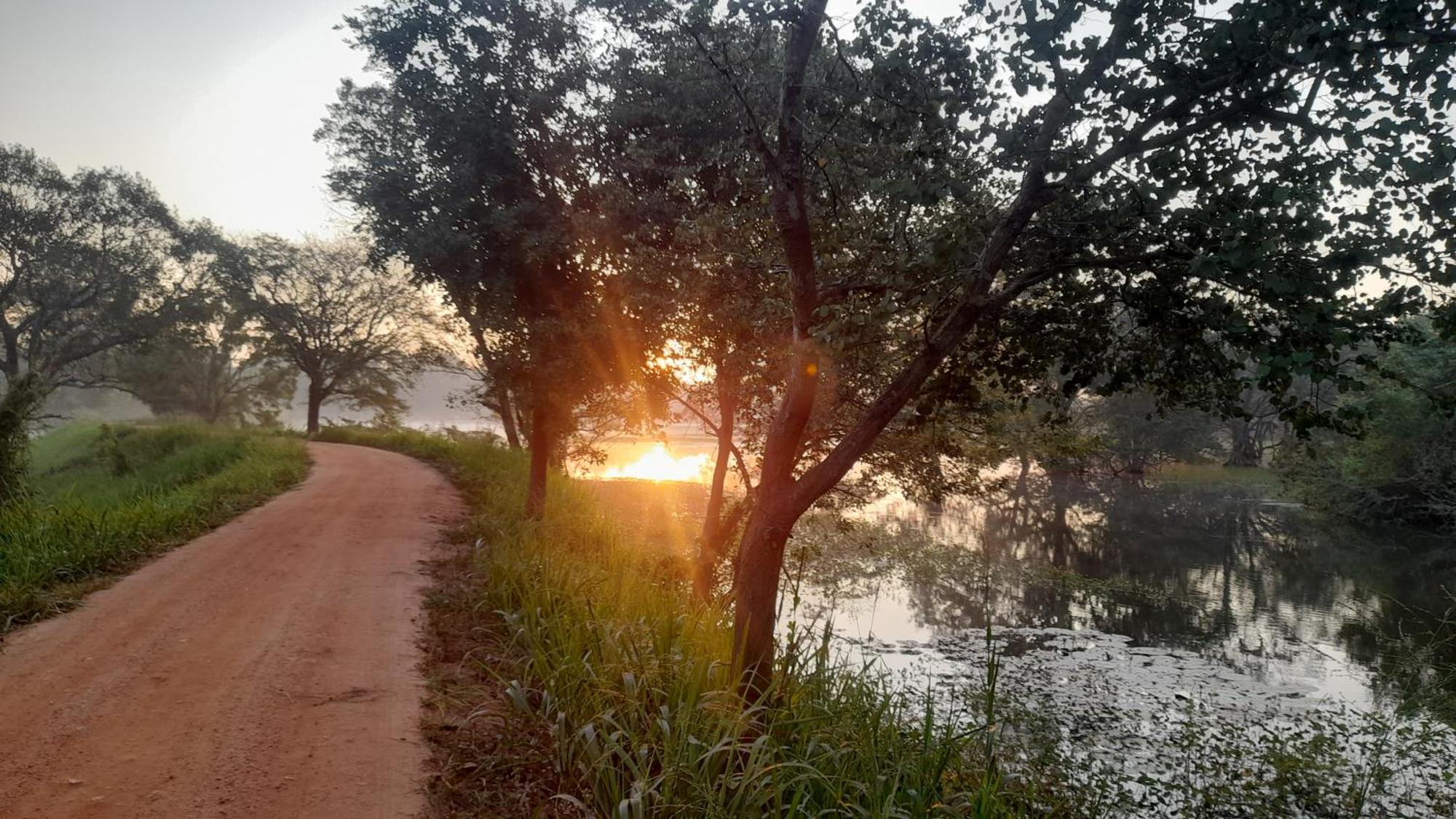 Wild View Stay Habarana Εξωτερικό φωτογραφία